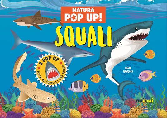 Squali. Natura pop up