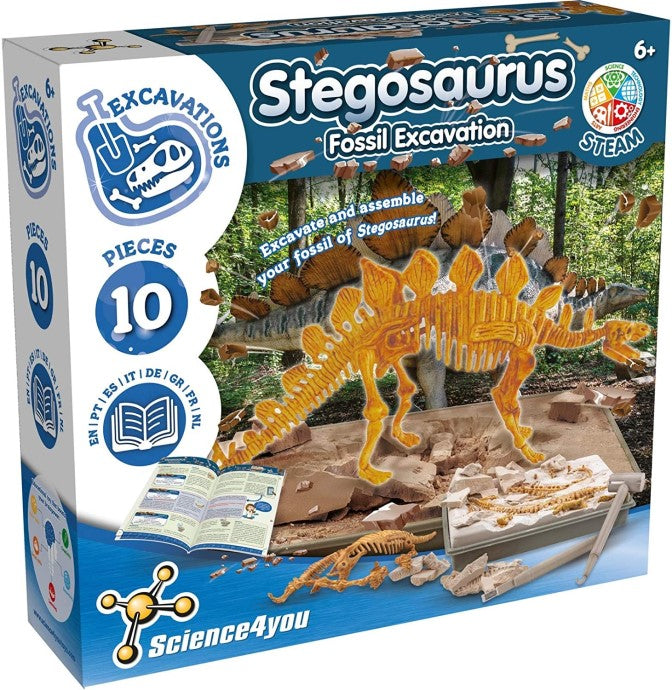 Scavo Fossile Stegosauro