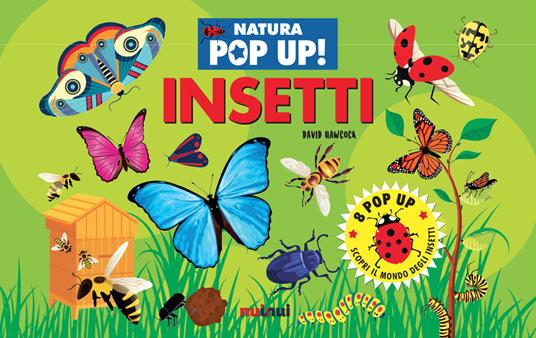 Insetti Natura pop up