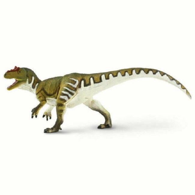 Allosaurus cm. 24