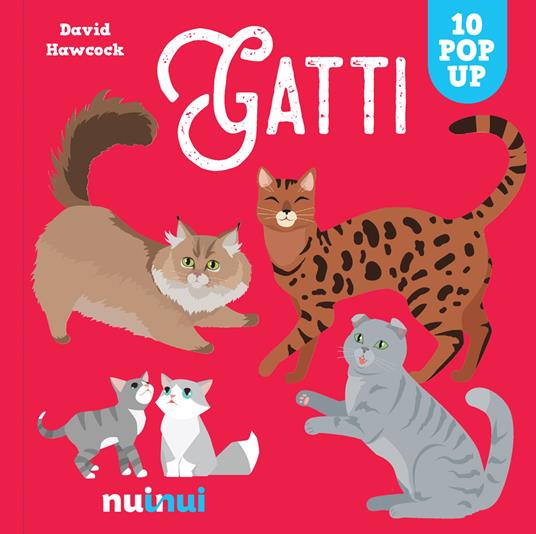 Gatti pop up