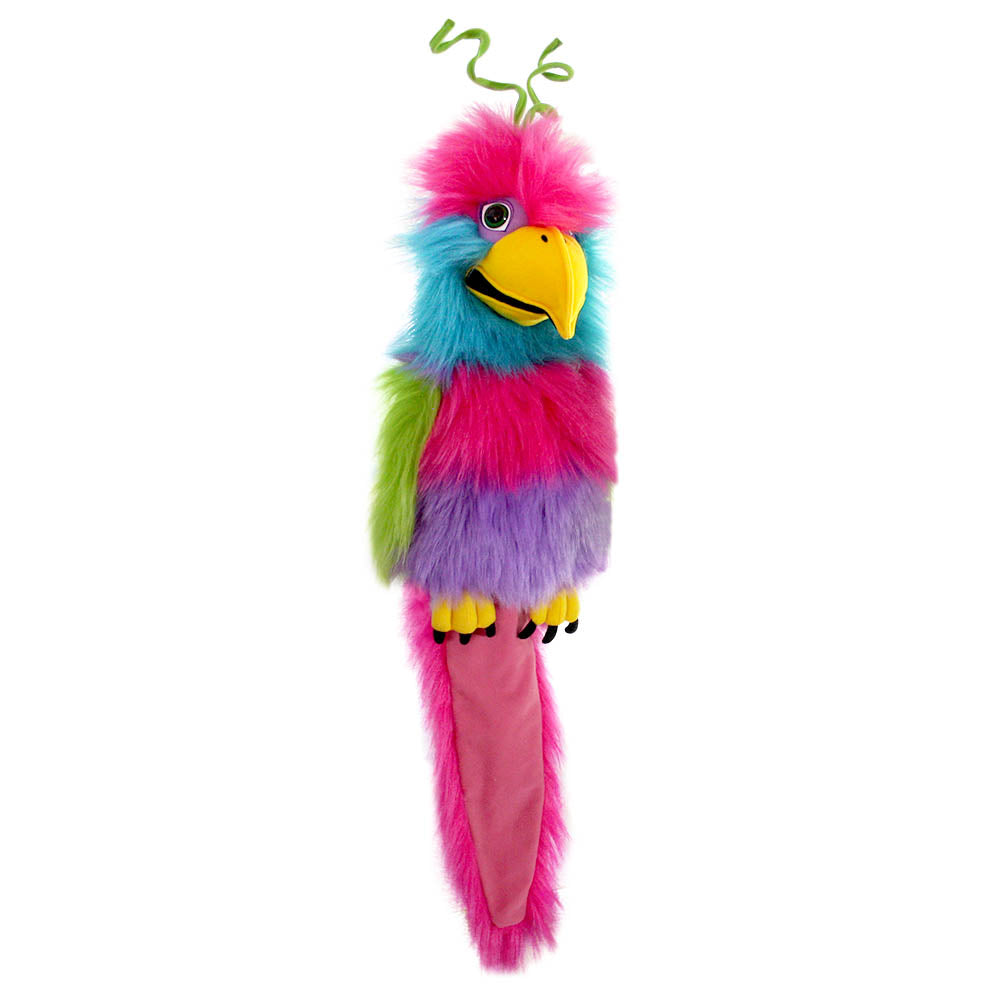 Large Birds: Bird of Paradise