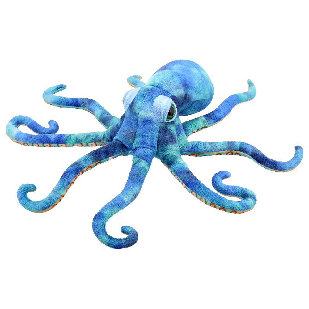 Large Creatures: Octopus
