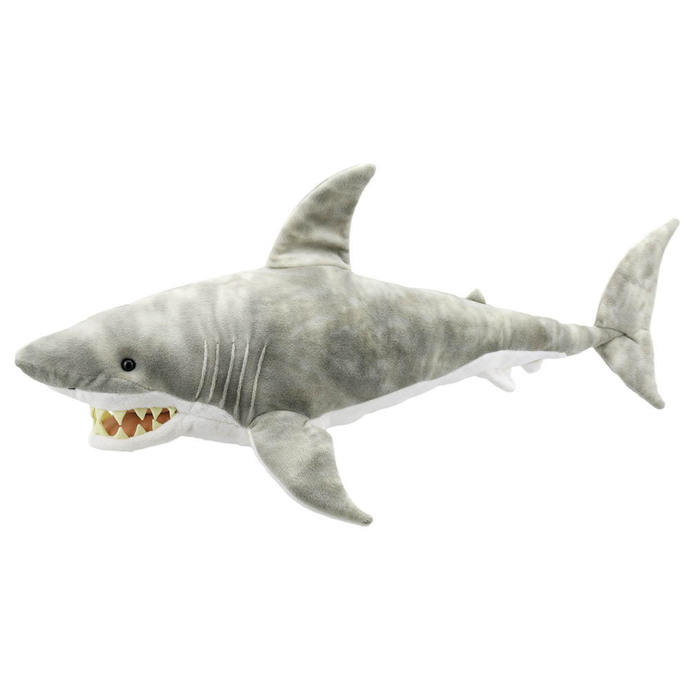 Large Creatures: Shark