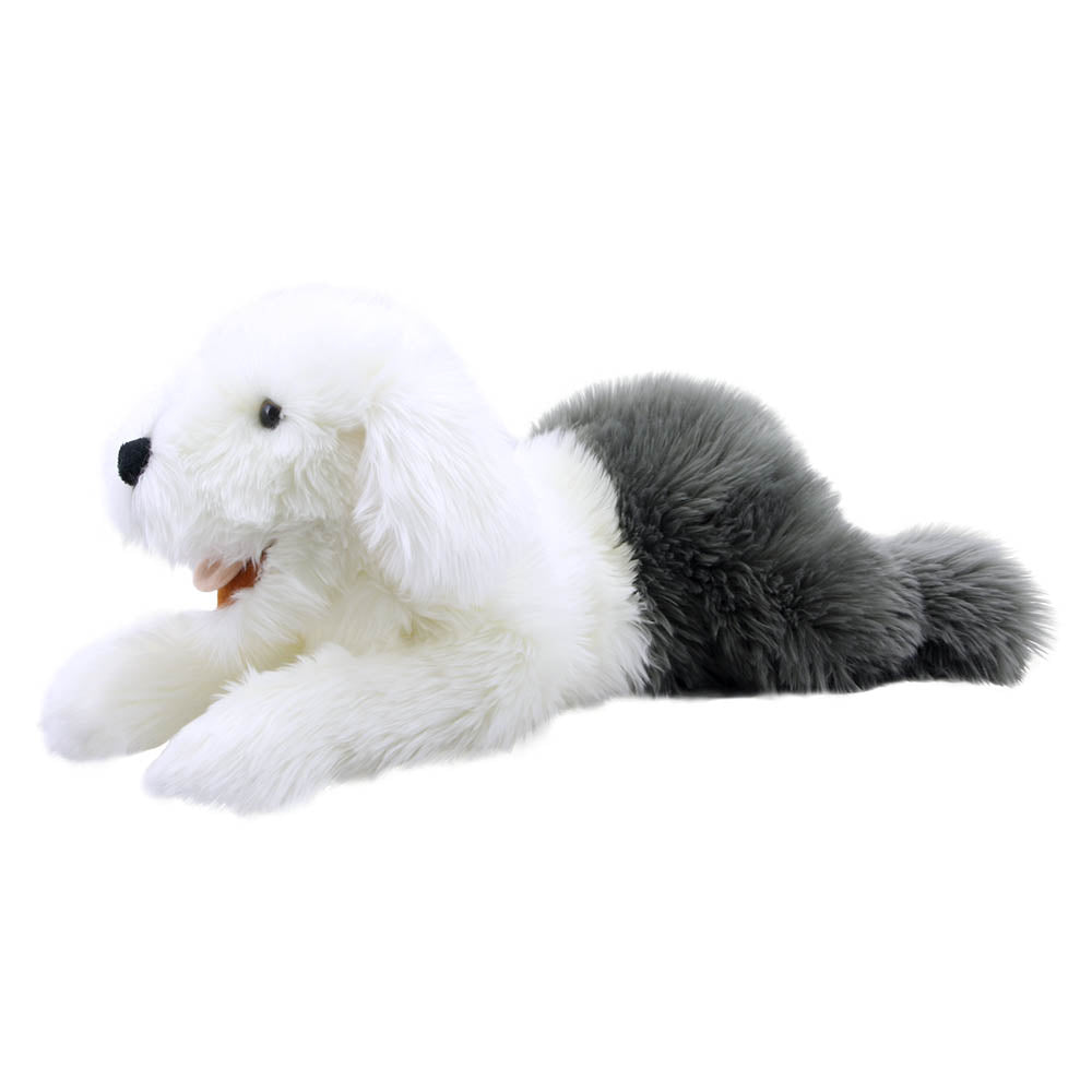Playful Puppies: Old English Sheepdog