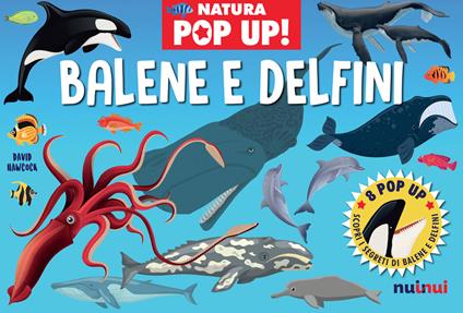 Balene e delfini. Natura pop up