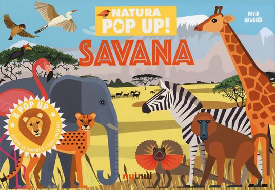 Savana. Natura pop up