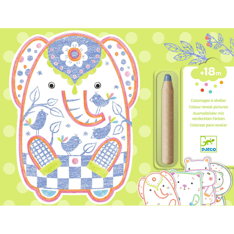 Disegni da svelare - Colori magici Djeco - Animali selvatici