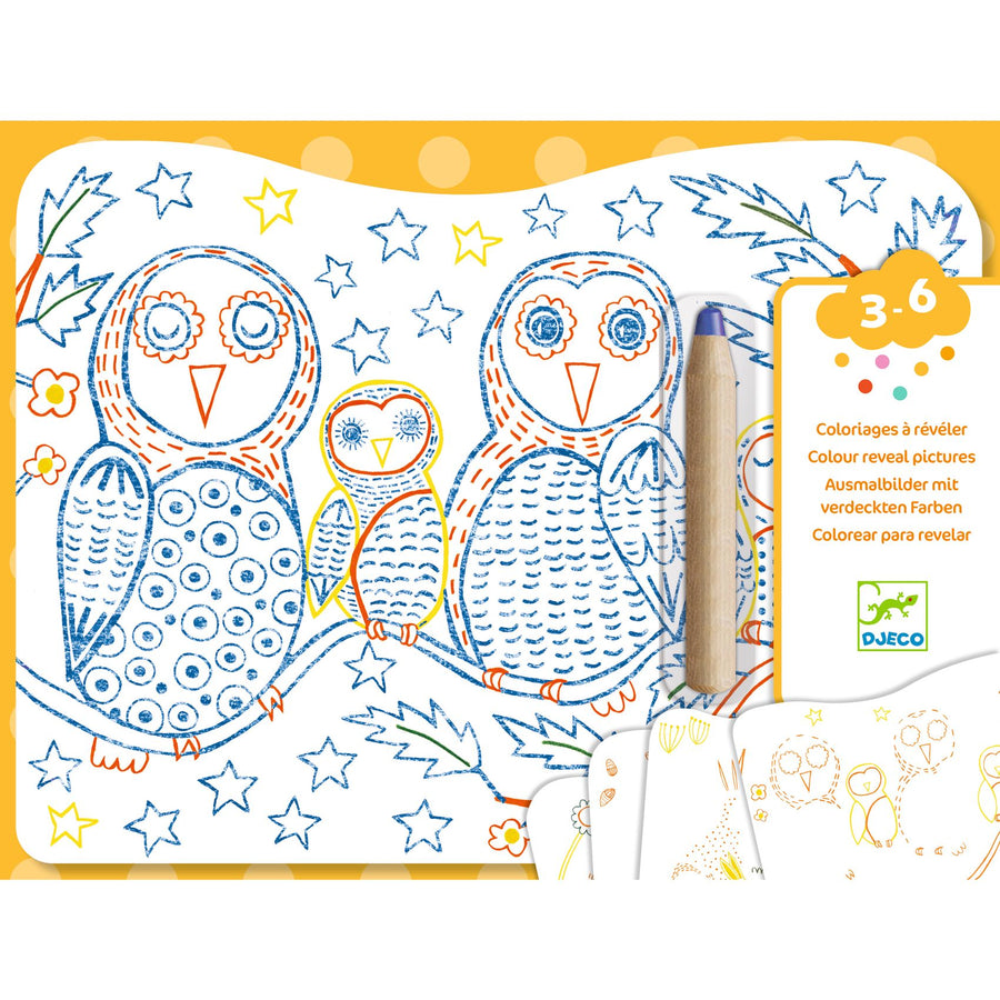 Disegni da svelare - Colori magici Djeco - Famiglie del sottobosco
