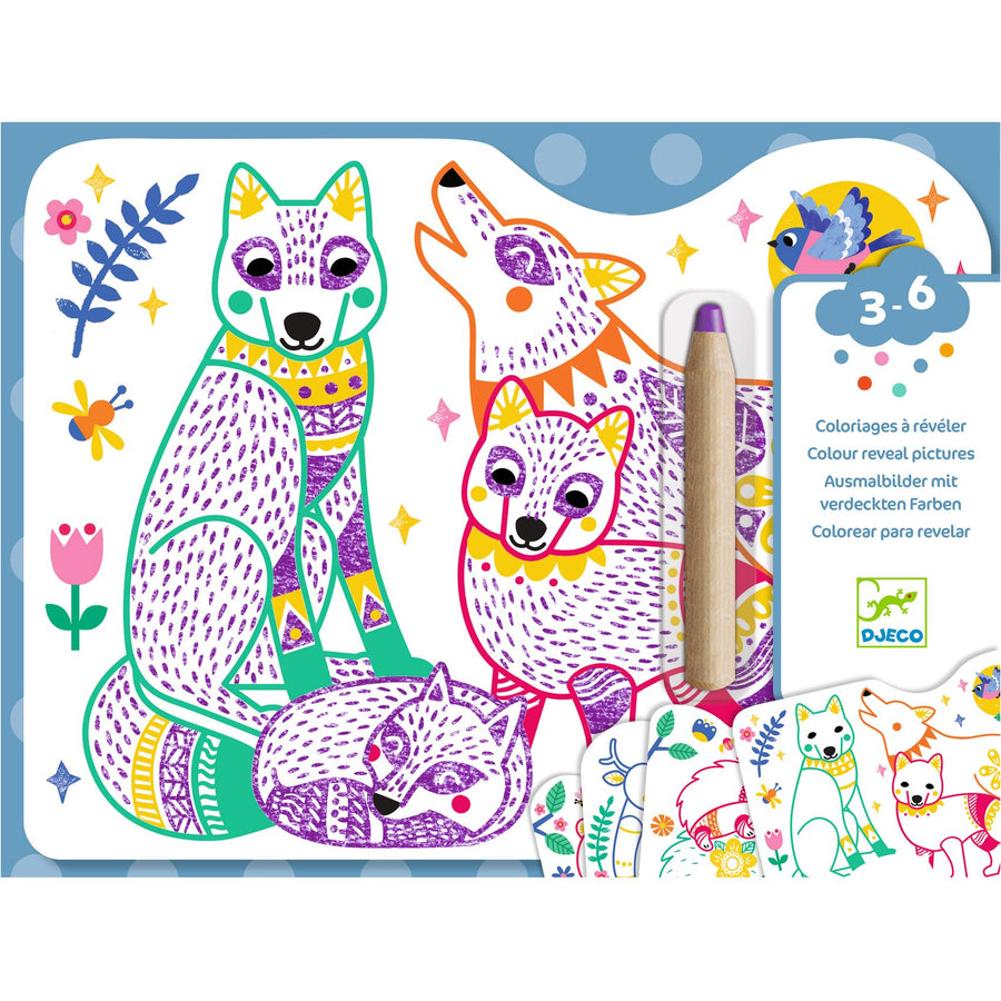 Disegni da svelare - Colori magici Djeco - Famiglie della foresta