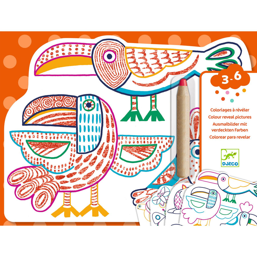 Disegni da svelare - Colori magici Djeco - Famiglie selvatiche