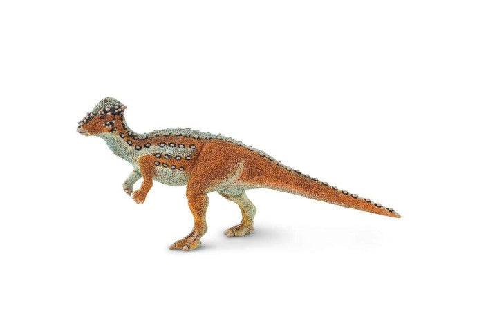 Pachycephalosaurus