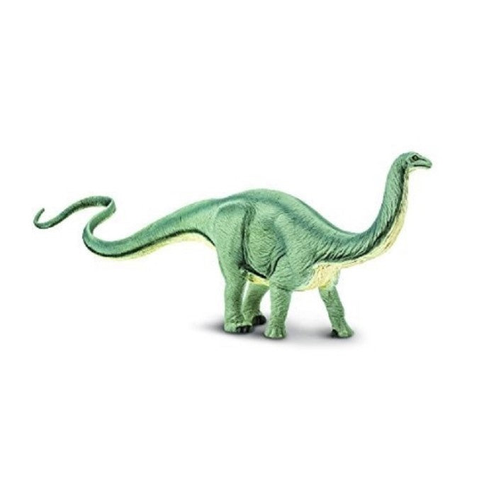 Apatosaurus cm. 34