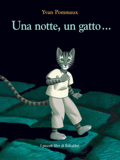 Una notte, un gatto...