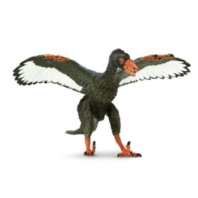 Archaeopteryx cm. 10,8