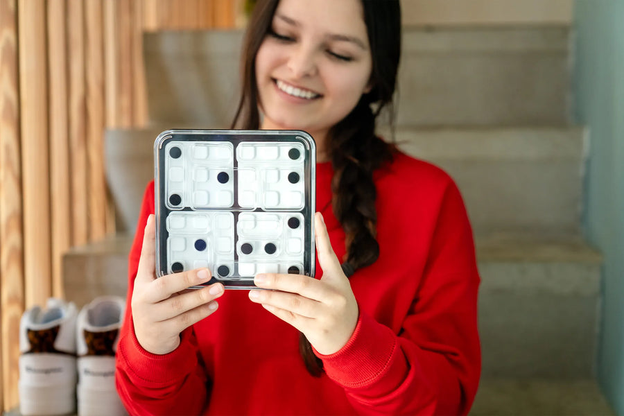 Dice Deduction - Smart Games