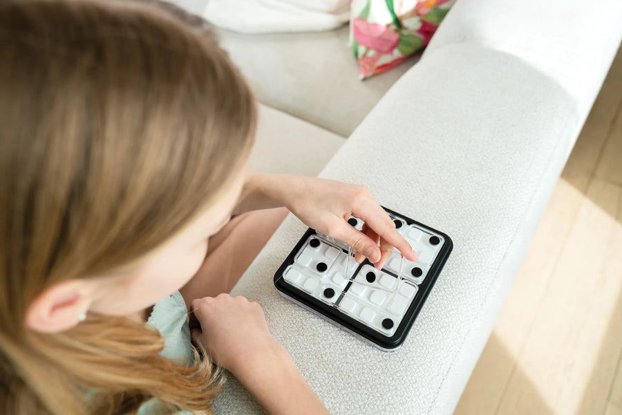 Dice Deduction - Smart Games