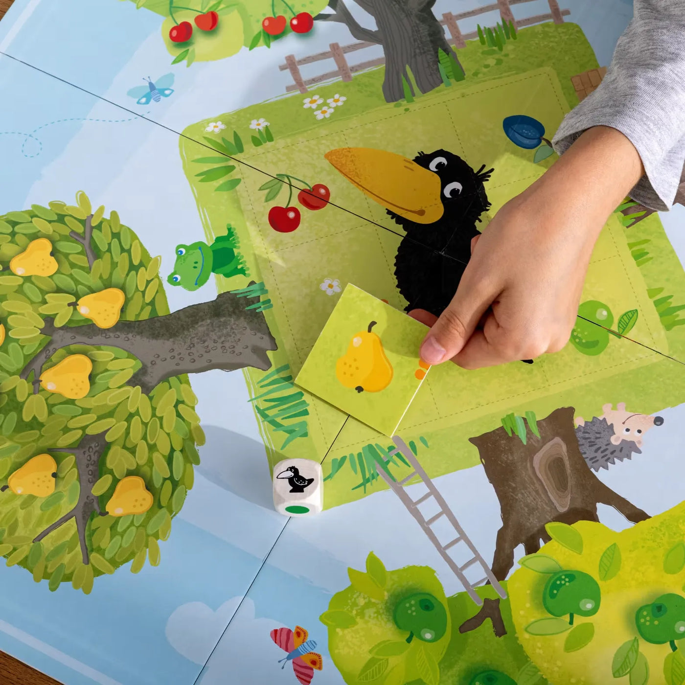 Il Frutteto - Istruzioni in italiano